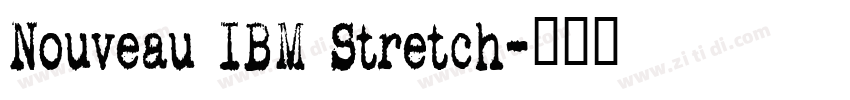 Nouveau IBM Stretch字体转换